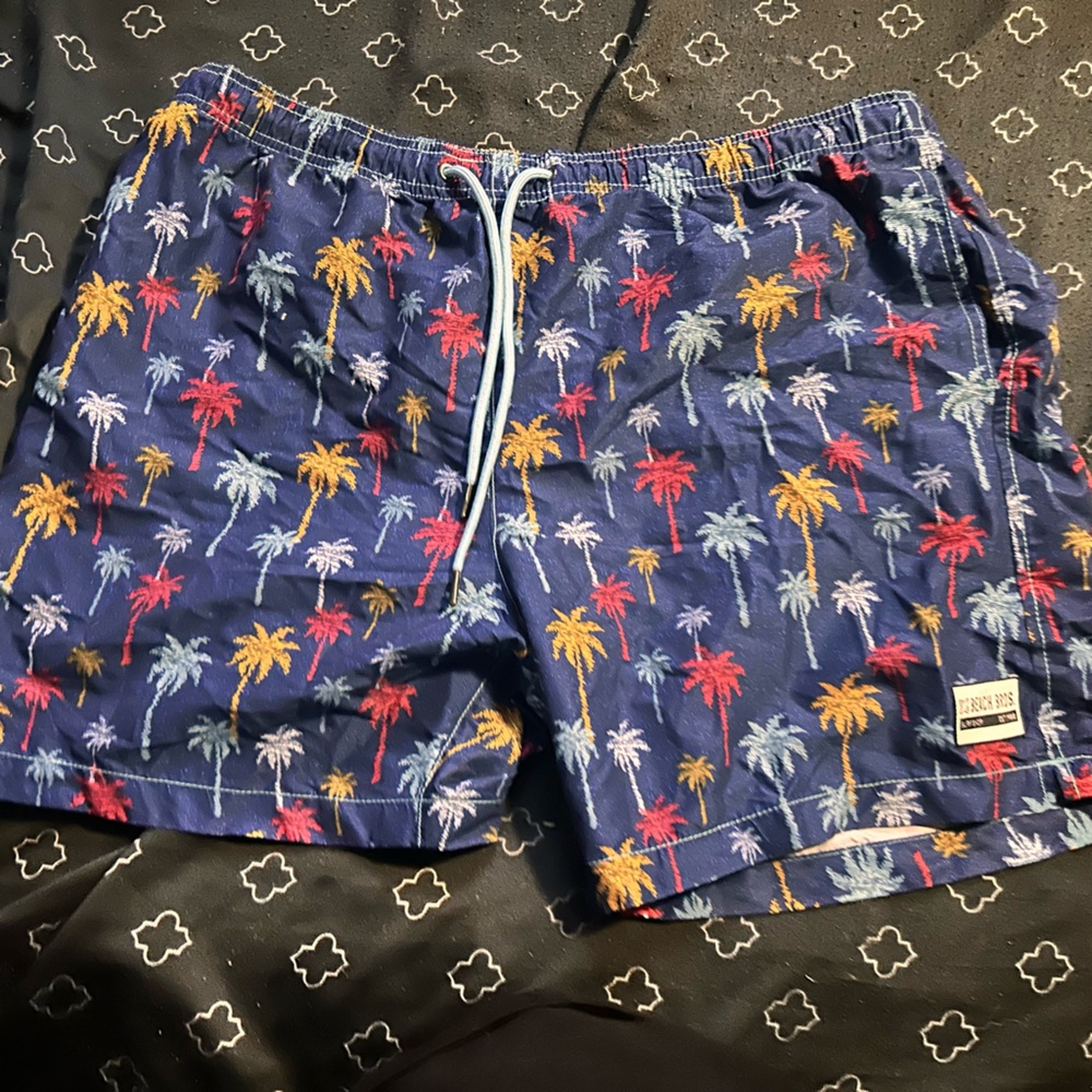 Beach bros swim trunks